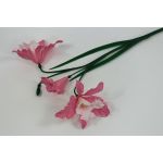 Н549  Ветка орхидеи