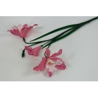 Н549  Ветка орхидеи