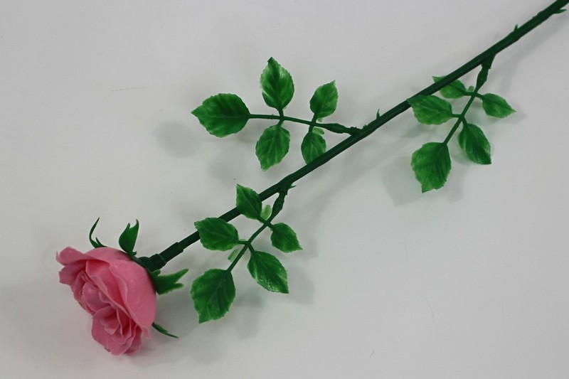 Н599  Роза