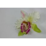 Г133 Голова орхидеи