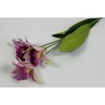 В734 Ветка орхидеи