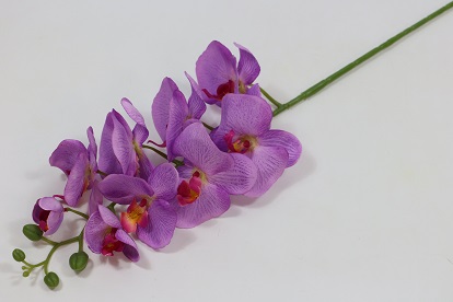 В7001 Ветка орхидеи