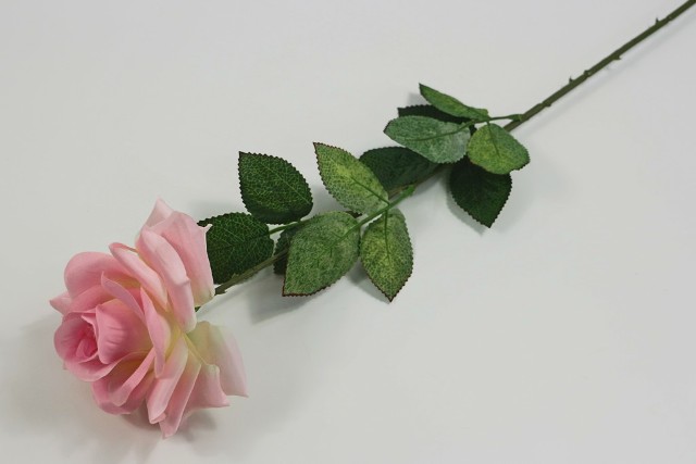О159 Роза