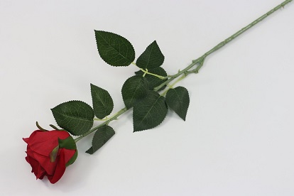 О241 Роза