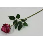 О389 Одиночная роза