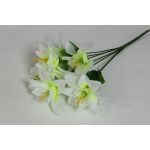 Б1783 Букет орхидеи